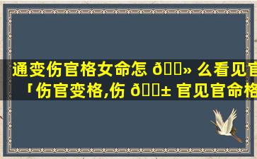 通变伤官格女命怎 🌻 么看见官「伤官变格,伤 🐱 官见官命格好不好」